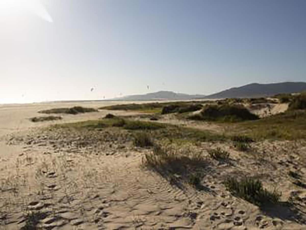 Mirador I Tarifa Apartman Kültér fotó